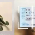 从人工核对到精准秒验，高新技术正在重塑生活全貌