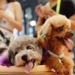 99ffbdbd-9d92-4669-8901-c9f482c68769