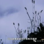 7eac5ff4-2346-422e-a309-edd01a8c7113